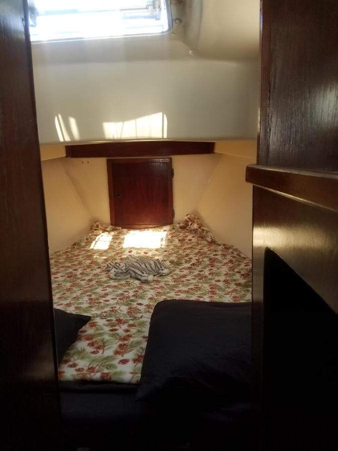 Unique Perspective Hotel Miami Ngoại thất bức ảnh